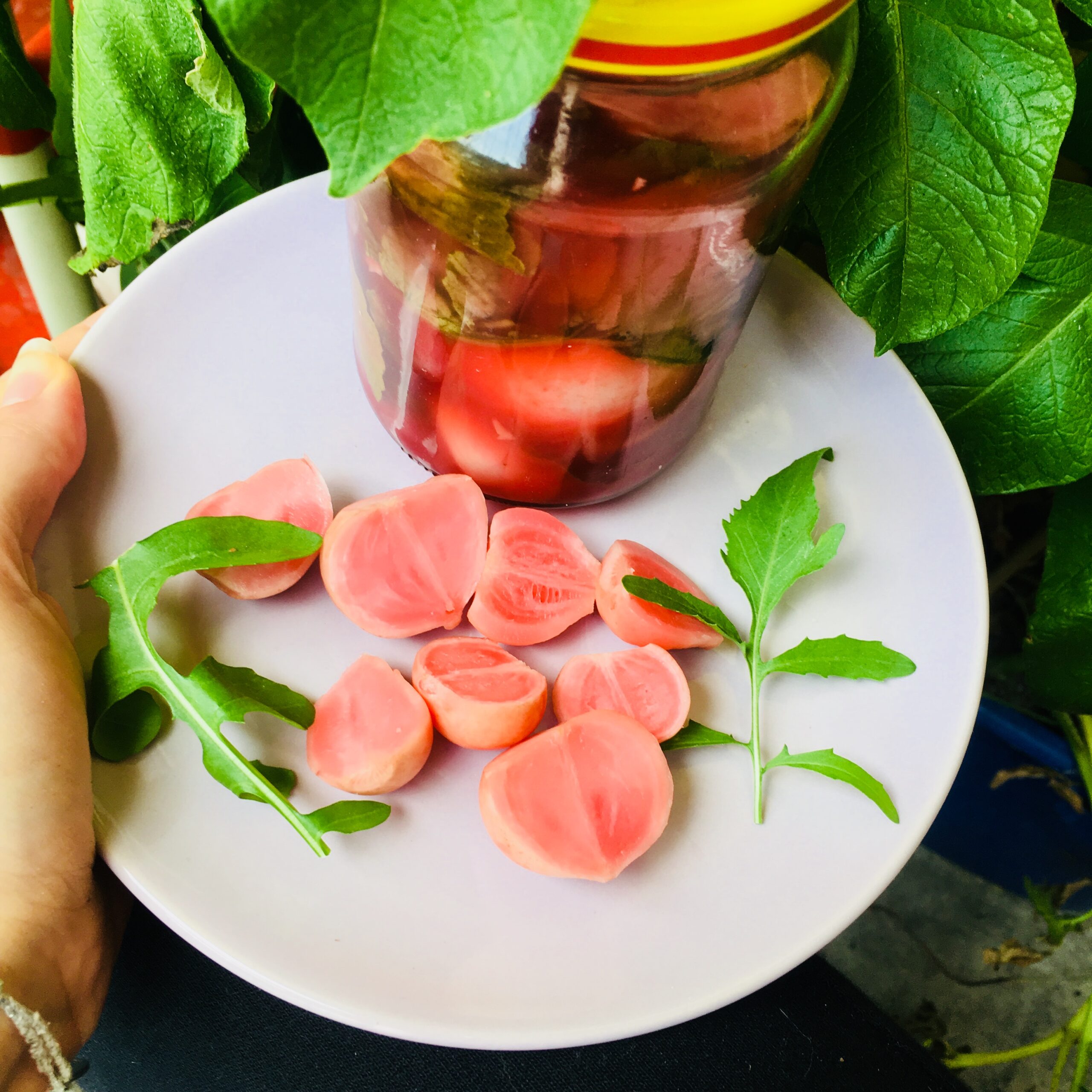 słoik z rzodkiewkami